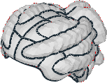 [Image: BI_8071.png]